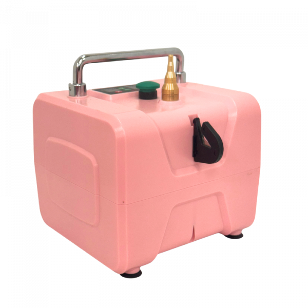 Pink Hurricane Pink Hurricane